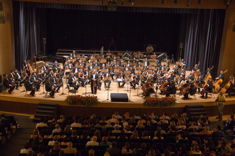 Read more about the article Como apreciar um concerto